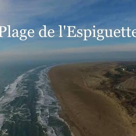 Grand Studio Au Grau-Du-Roi Proche Seaquarium Et Plage Le Grau-du-Roi Ngoại thất bức ảnh